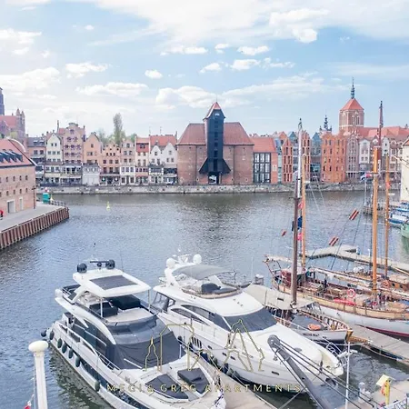 Megi & Greg Gdańsk